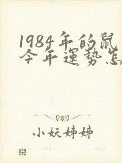 1984年的鼠今年运势怎么样