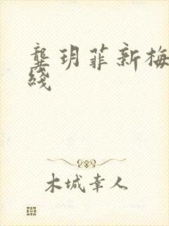 龚玥菲新梅瓶在线封面