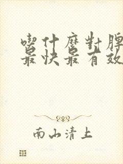 吃什么对脾胃好最快最有效