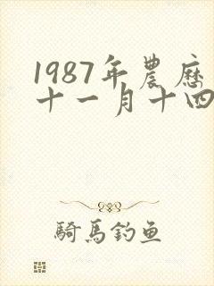 1987年农历十一月十四是啥命封面