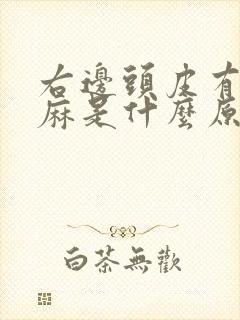 右边头皮有点发麻是什么原因