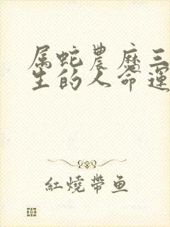 属蛇农历三月出生的人命运