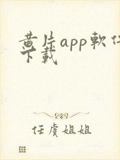 黄片app软件下载封面