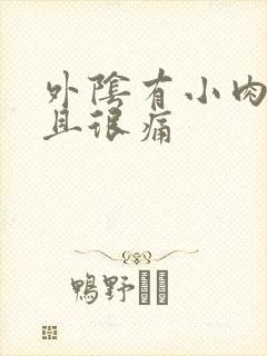 外阴有小肉粒并且很痛