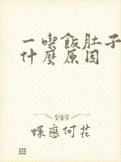 一吃饭肚子就疼什么原因封面