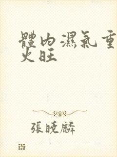 体内湿气重 肝火旺封面