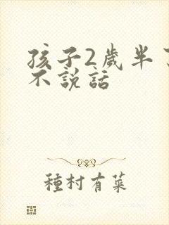 孩子2岁半了还不说话封面