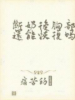 断奶后胸部变小还能恢复吗封面