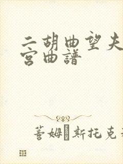 二胡曲望夫云出宫曲谱