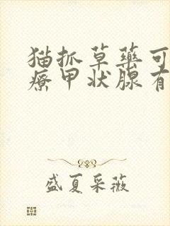 猫抓草药可以治疗甲状腺有结节