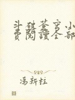 斗破苍穹小说免费阅读全部封面