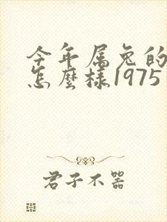 今年属兔的运气怎么样1975