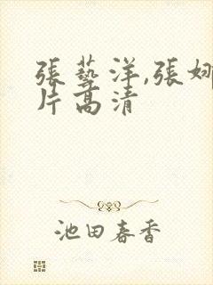 张艺洋,张娜照片高清