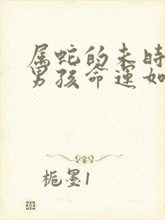 属蛇的未时出生男孩命运如何