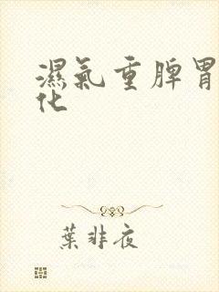 湿气重脾胃不运化封面