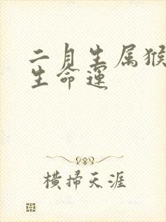 二月生属猴人一生命运封面