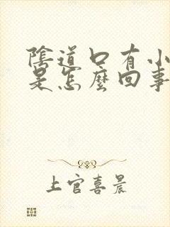 阴道口有小肉刺是怎么回事封面