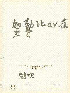 加勒比av在线免费