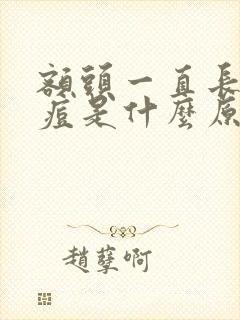 额头一直长青春痘是什么原因