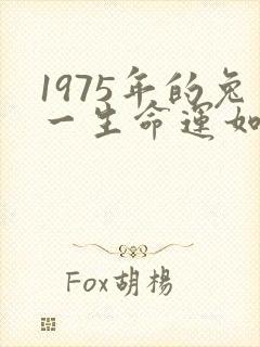 1975年的兔一生命运如何