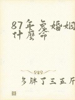 87年兔婚姻是什么命