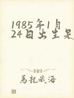 1985年1月24日出生是什么命