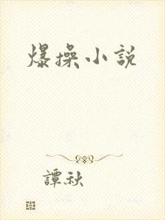 爆操小说