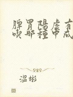 脾胃阳虚有湿气吃哪种中成药