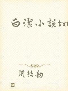 白洁小说txt封面