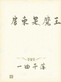 房东是魔王大人封面