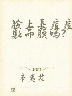 脸上长痘痘可以敷面膜吗?