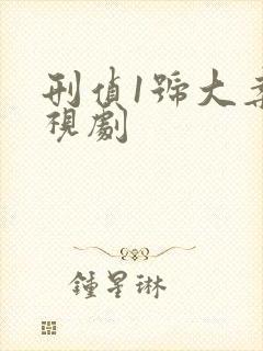 刑侦1号大案电视剧