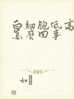 白细胞低高烧是怎么回事封面