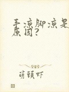 手凉脚凉是什么原因?封面