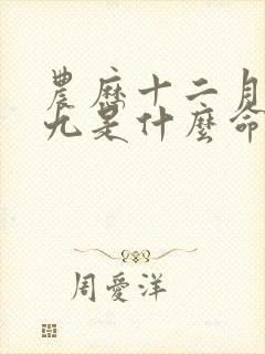 农历十二月二十九是什么命