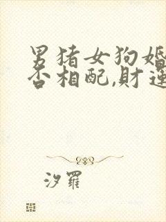 男猪女狗婚姻是否相配,财运如何