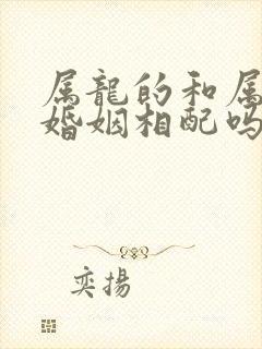 属龙的和属马的婚姻相配吗