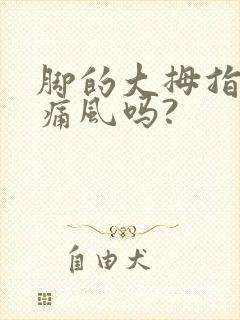 脚的大拇指痛是痛风吗?封面