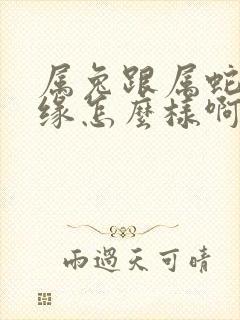 属兔跟属蛇的姻缘怎么样啊