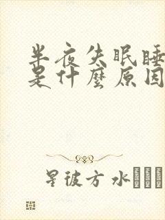 半夜失眠睡不着是什么原因