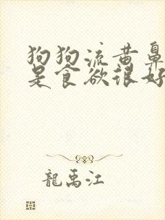 狗狗流黄鼻涕但是食欲很好封面