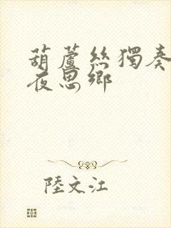 葫芦丝独奏曲月夜思乡