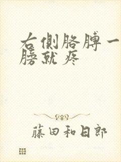 右侧胳膊一抬肩膀就疼