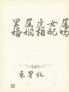 男属虎女属狗的婚姻相配吗