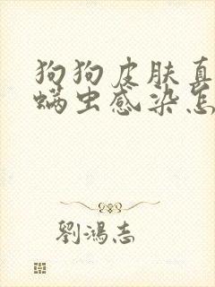 狗狗皮肤真菌和螨虫感染怎么治疗