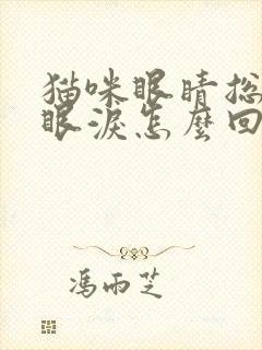 猫咪眼睛总是流眼泪怎么回事封面