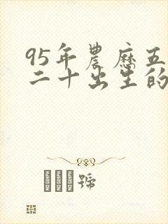 95年农历五月二十出生的命运封面