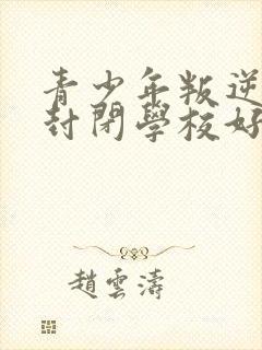 青少年叛逆正规封闭学校好不好