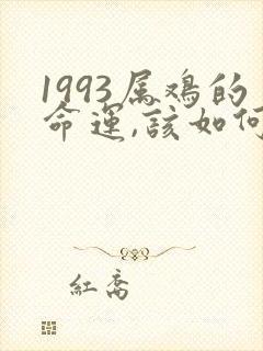 1993属鸡的命运,该如何取名