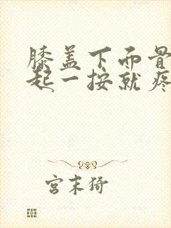 膝盖下面骨头凸起一按就疼